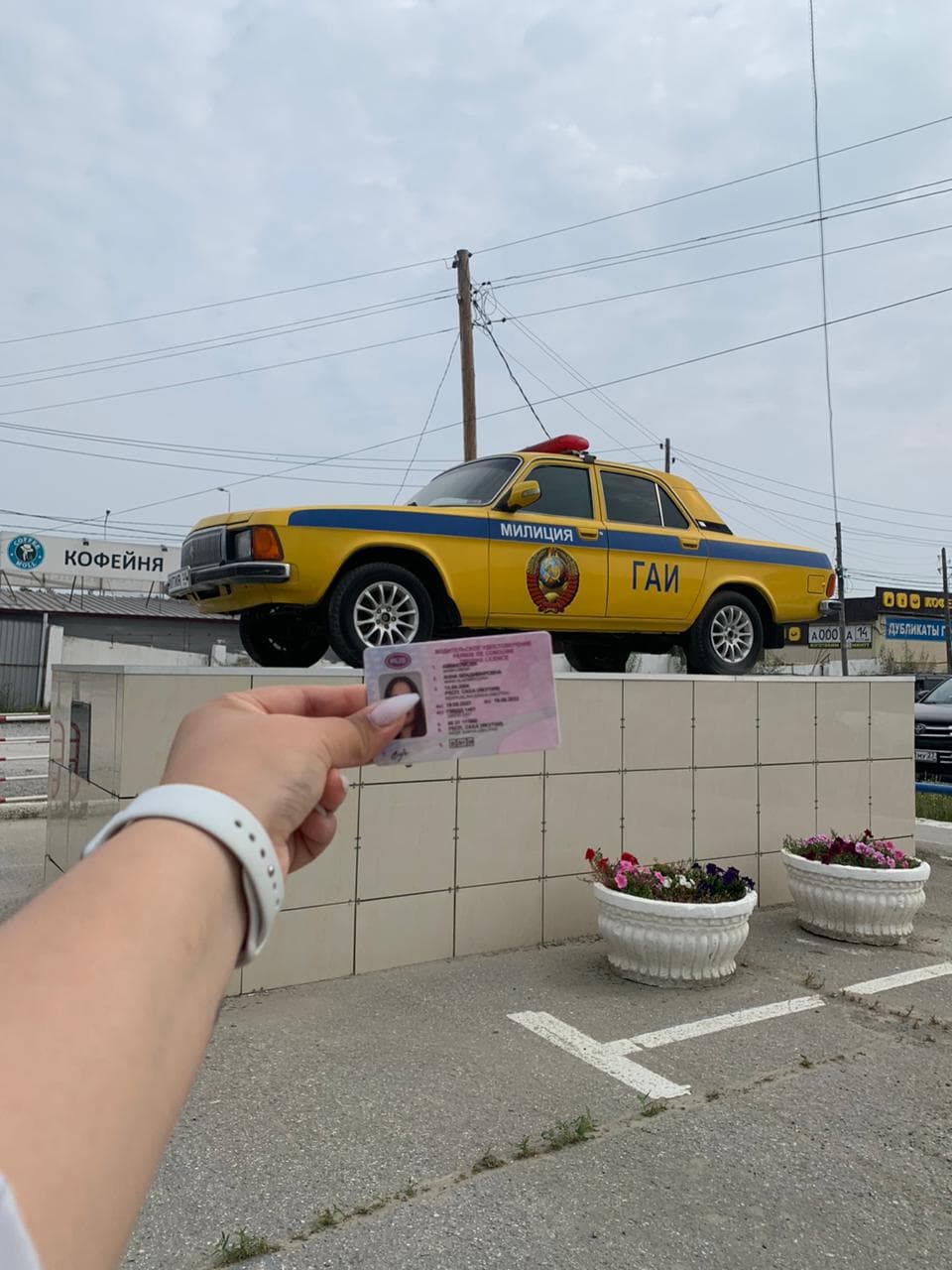 Выпускники