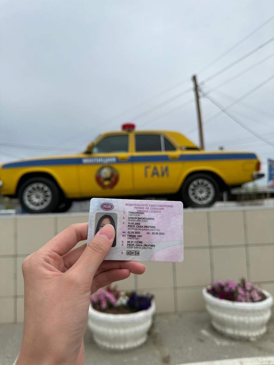 Выпускники