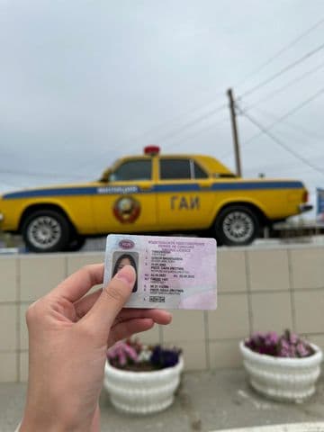 Выпускники