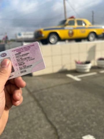 Выпускники
