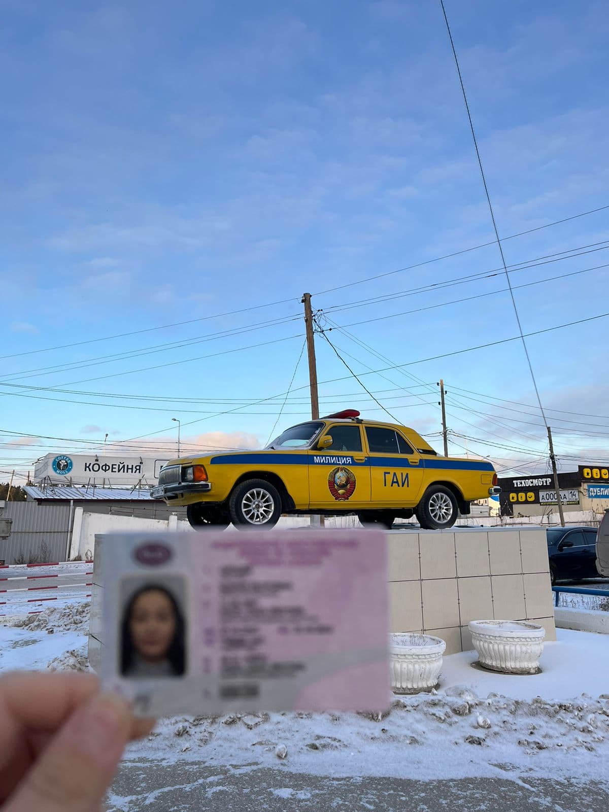 Выпускники