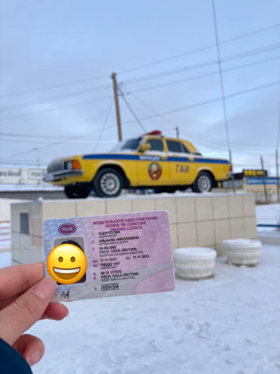 Выпускники