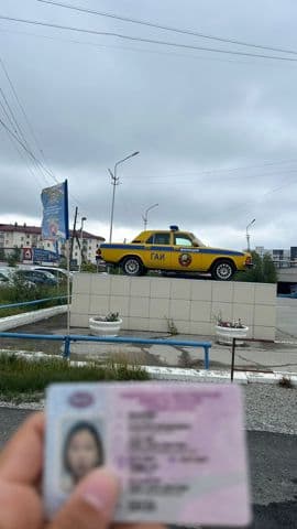 Выпускники