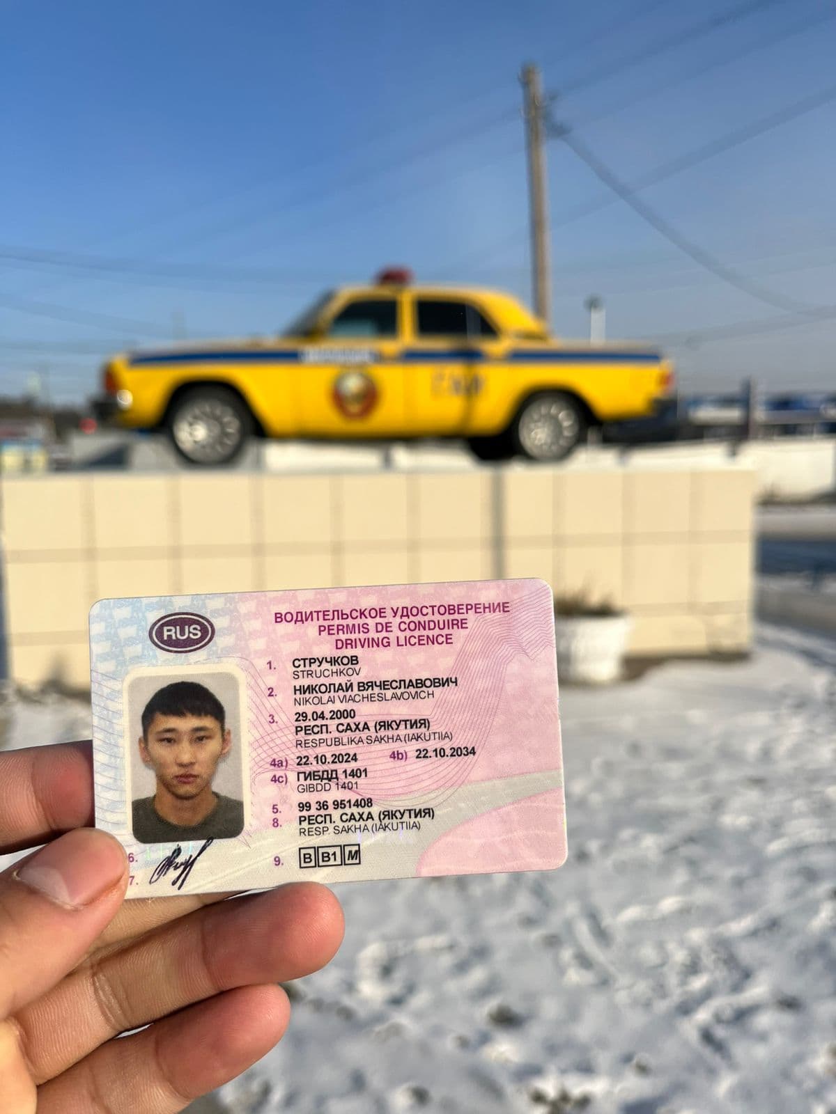 Выпускники