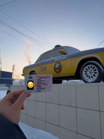 Выпускники