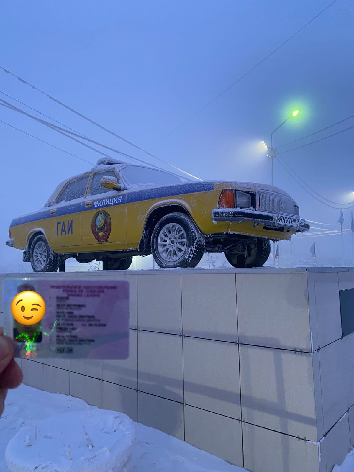 Выпускники