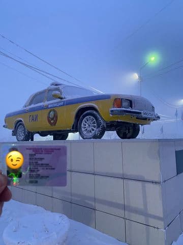 Выпускники